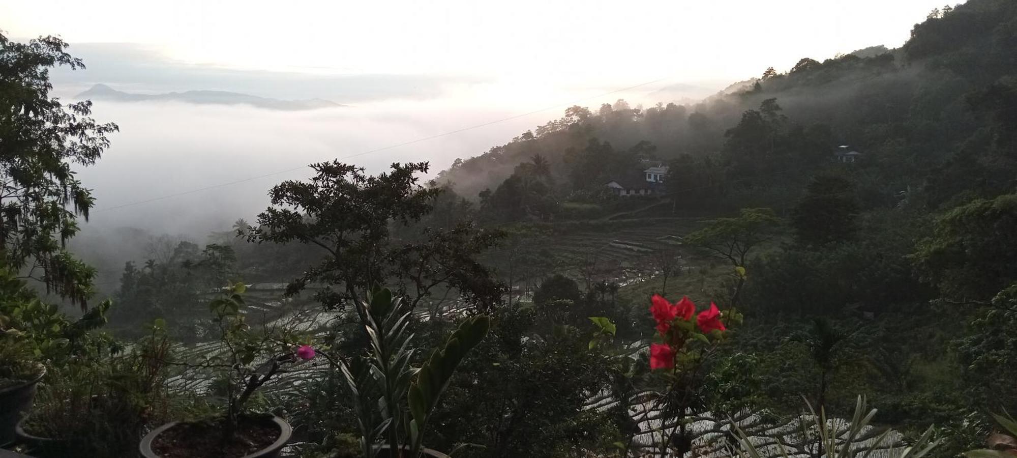Kandy Ivy Mountain View Resort Chambre photo