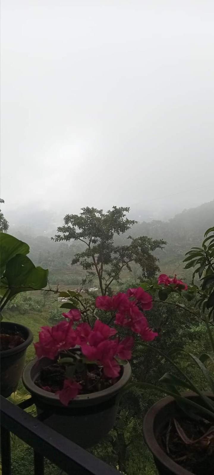 Kandy Ivy Mountain View Resort Extérieur photo