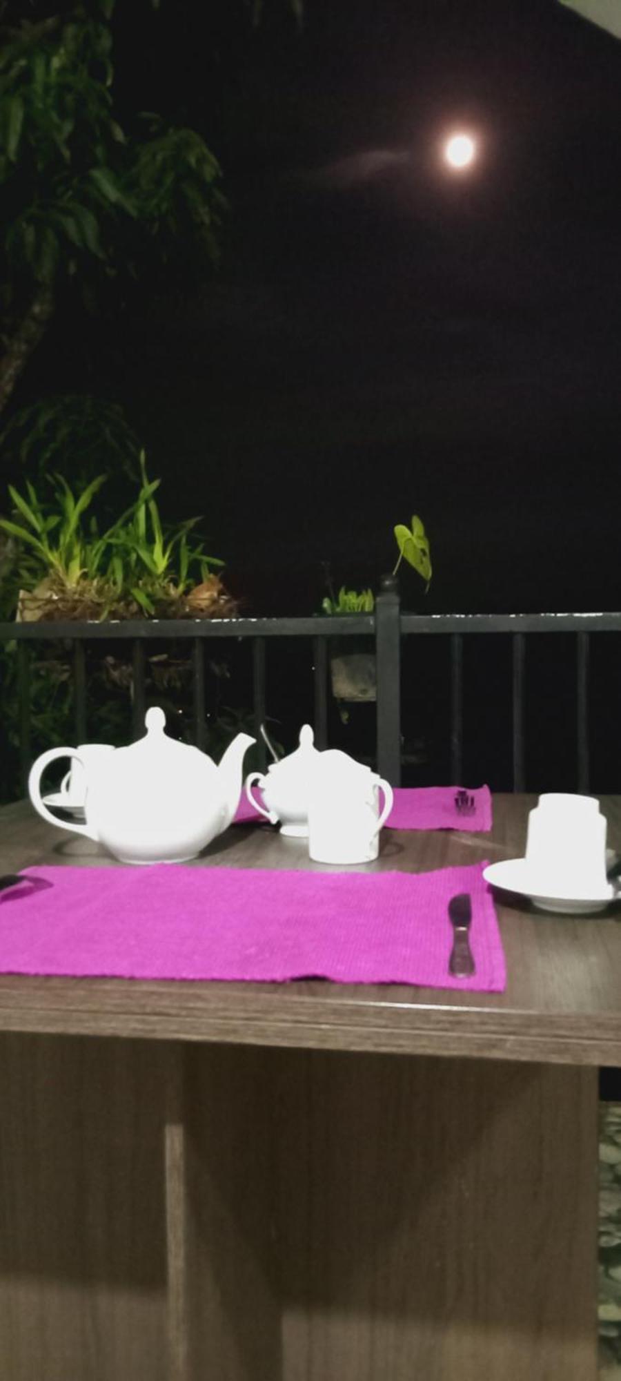 Kandy Ivy Mountain View Resort Chambre photo