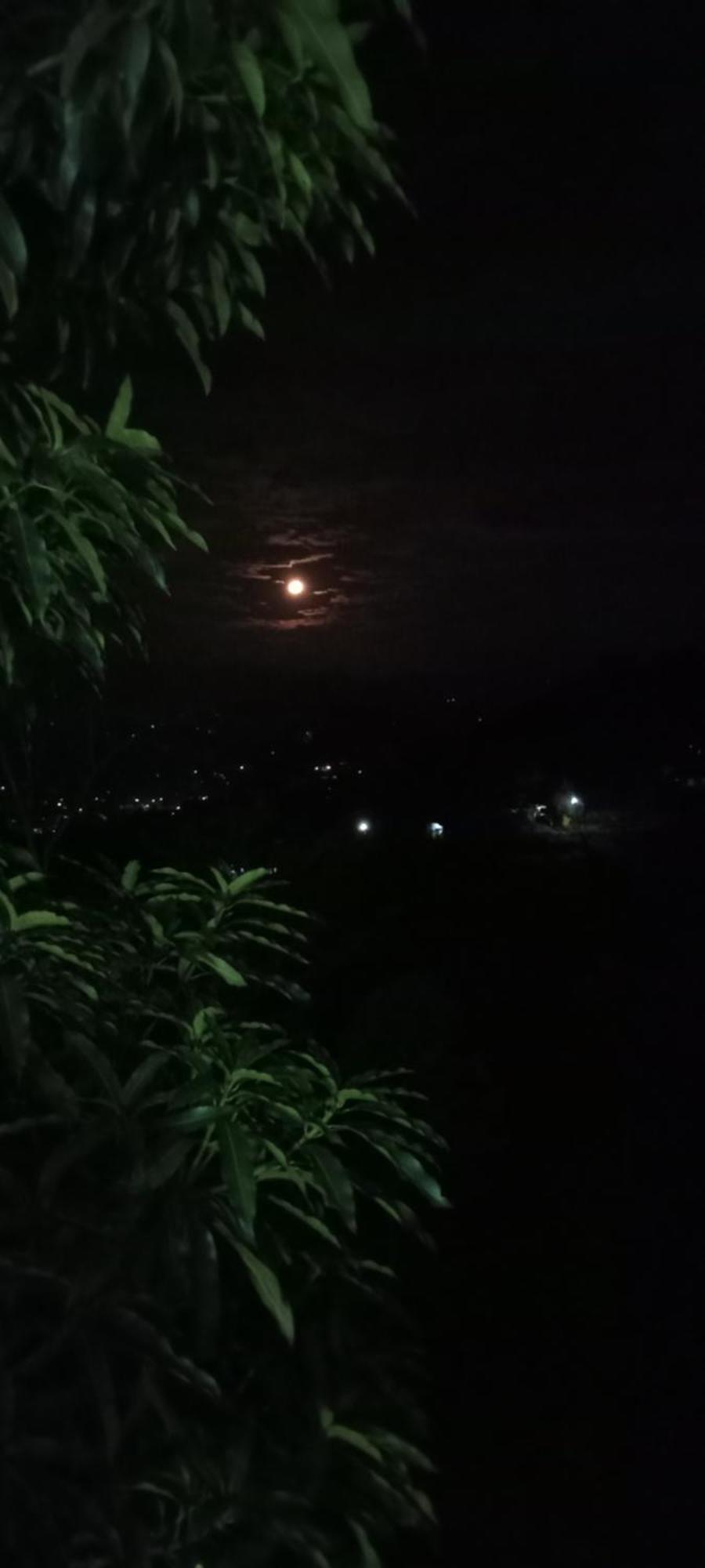 Kandy Ivy Mountain View Resort Chambre photo